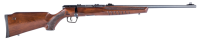 SAVAGE B22 G .22 LR 21"/54CM