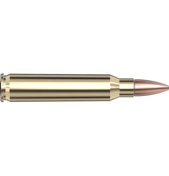 HORNADY MUNITION FRONTIER 5,56 NATO 62GR FMJ 20/500 *non cip*