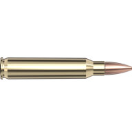 HORNADY MUNITION FRONTIER 5,56 NATO 62GR FMJ 20/500 *non...