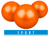 T4E Sport PAB 50 .50, 1,26 g, Orange Mark, 500 St., Beh&auml;lter