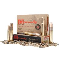 HORNADY MUNITION .458 WIN 500GR DGX SUPERFORMANCE 20/100