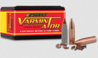 BARNES GESCHOSSE 6MM/.243 58GR VARMINATOR HP FB 100/1000