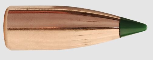 SIERRA GESCHOSSE 6MM/.243 55GR BLITZKING 100/BOX
