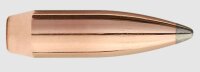 SIERRA GESCHOSSE .25/.257 100GR SBT GAMEKING 100/BOX